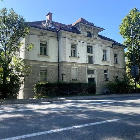 Charming Appartment 3-Min Walk To Old Town - Free Parking Любляна Екстериор снимка